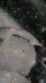 Meet Madden - Stardust Selfies -g7kekcrqoc.jpg