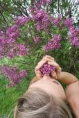 Meet Madden - Purple Flowers -f77sgwd3j0.jpg